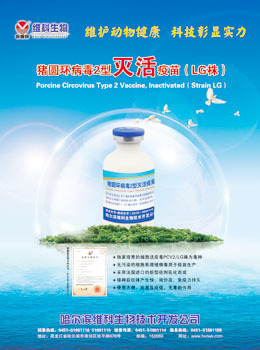 哈爾濱維科生物技術開發公司 生物技術開發的前沿探索