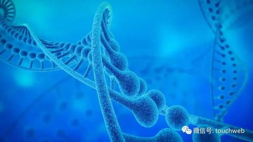 加立生物沖刺港股 9個月虧損4433萬，林帝邦為大股東，生物技術開發(fā)成焦點